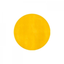 Vopsea acrylica Master Nails 12ml-26-Galben Inchis